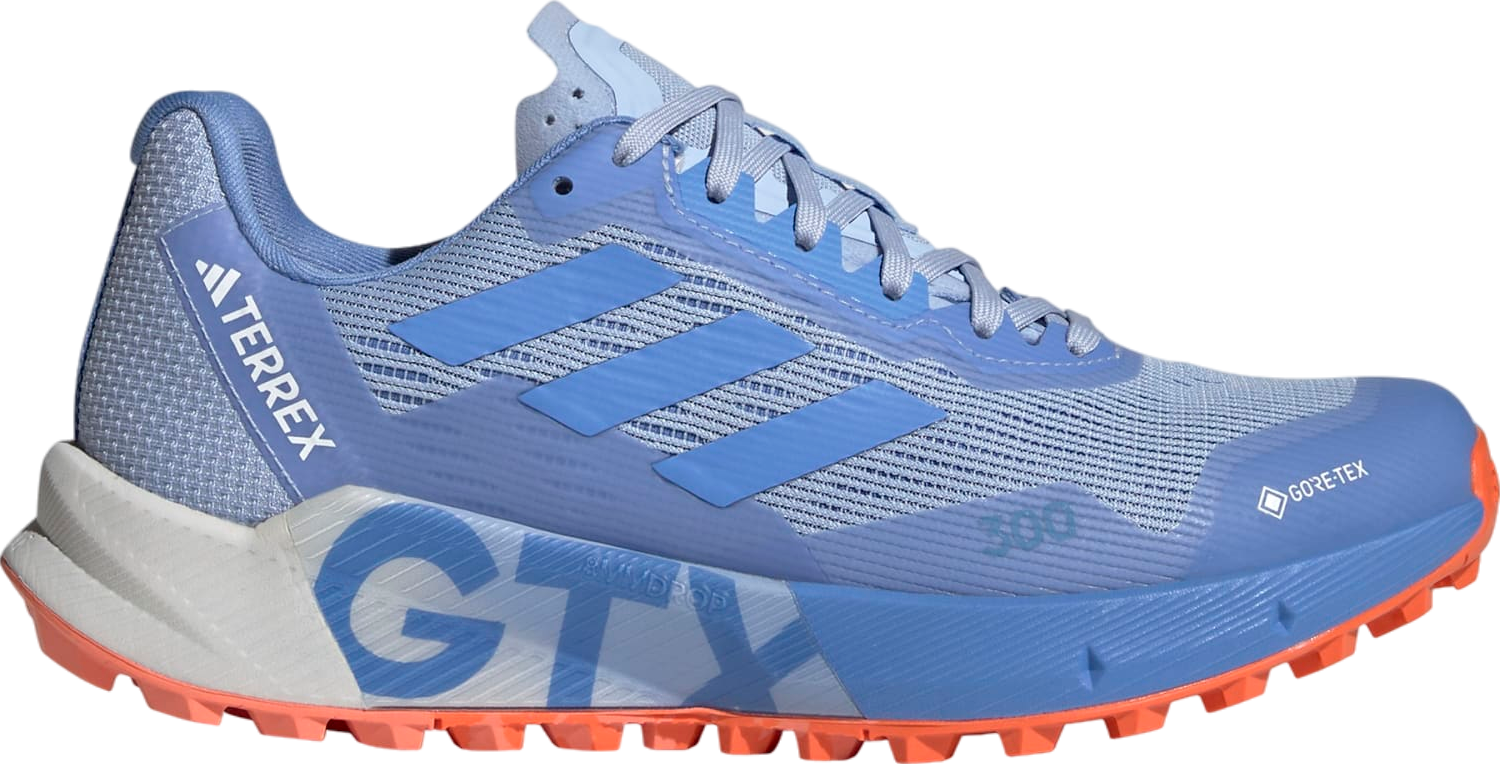 Adidas Terrex Agravic Flow 2.0 Gore-Tex Trail WMNS Blue Dawn / Blue Fusion