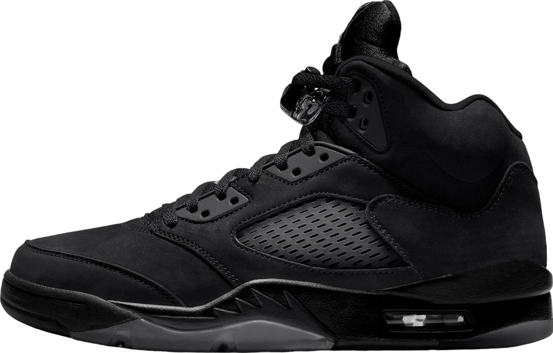 Air Jordan 5 Black Cat