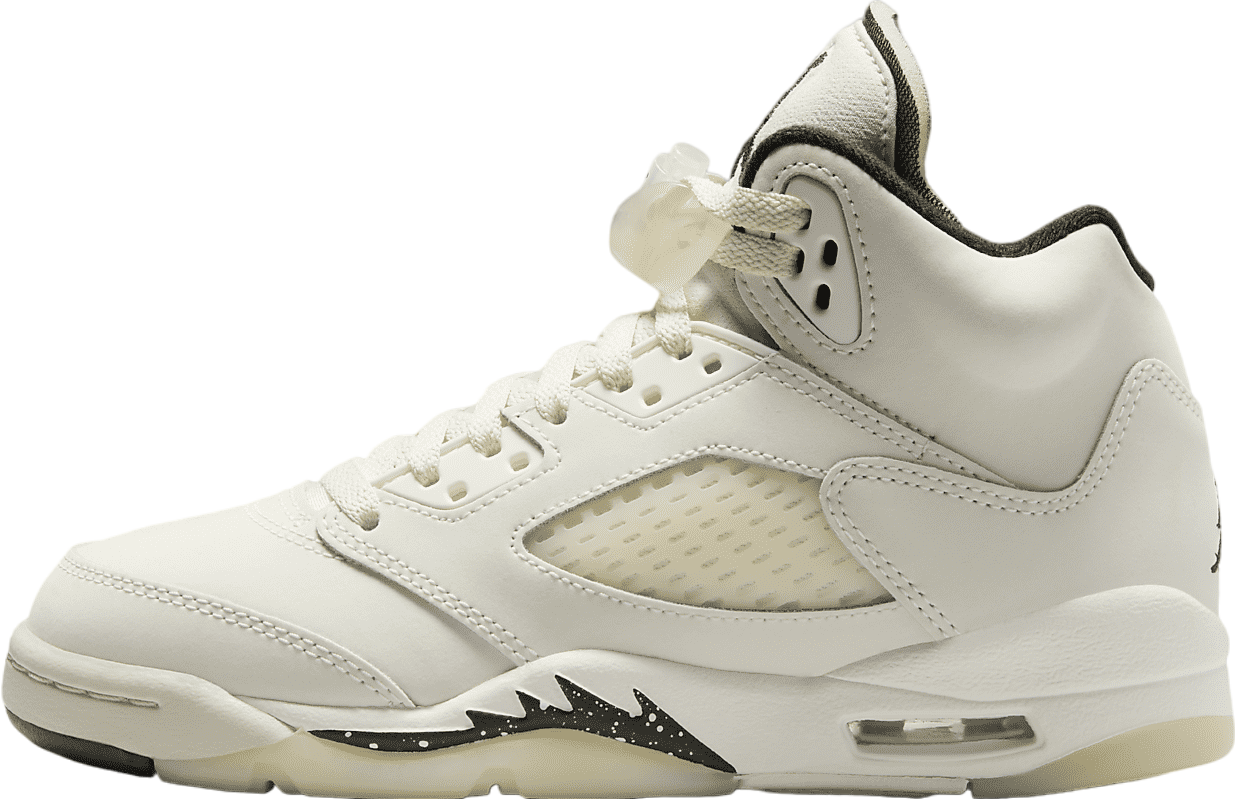 Air Jordan 5 SE GS Sail / Light Orewood Brown