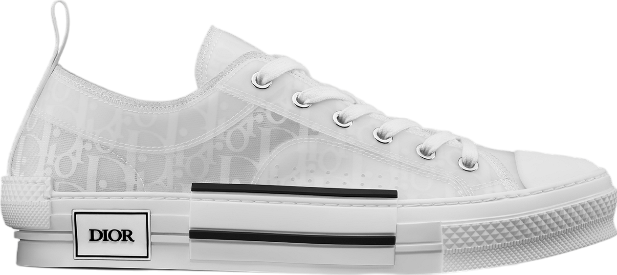 Dior B23 Low White Oblique Canvas