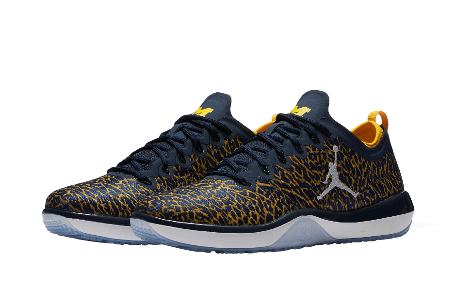 Jordan Trainer 1 Low Michigan