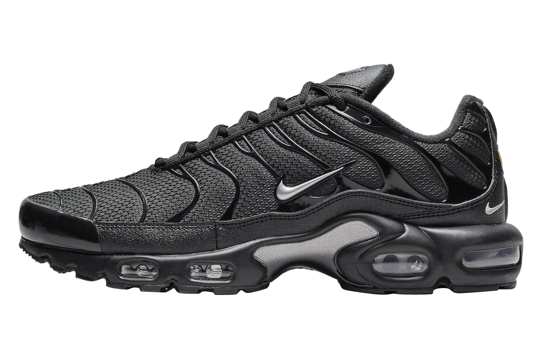 Nike Air Max Plus Black Silver