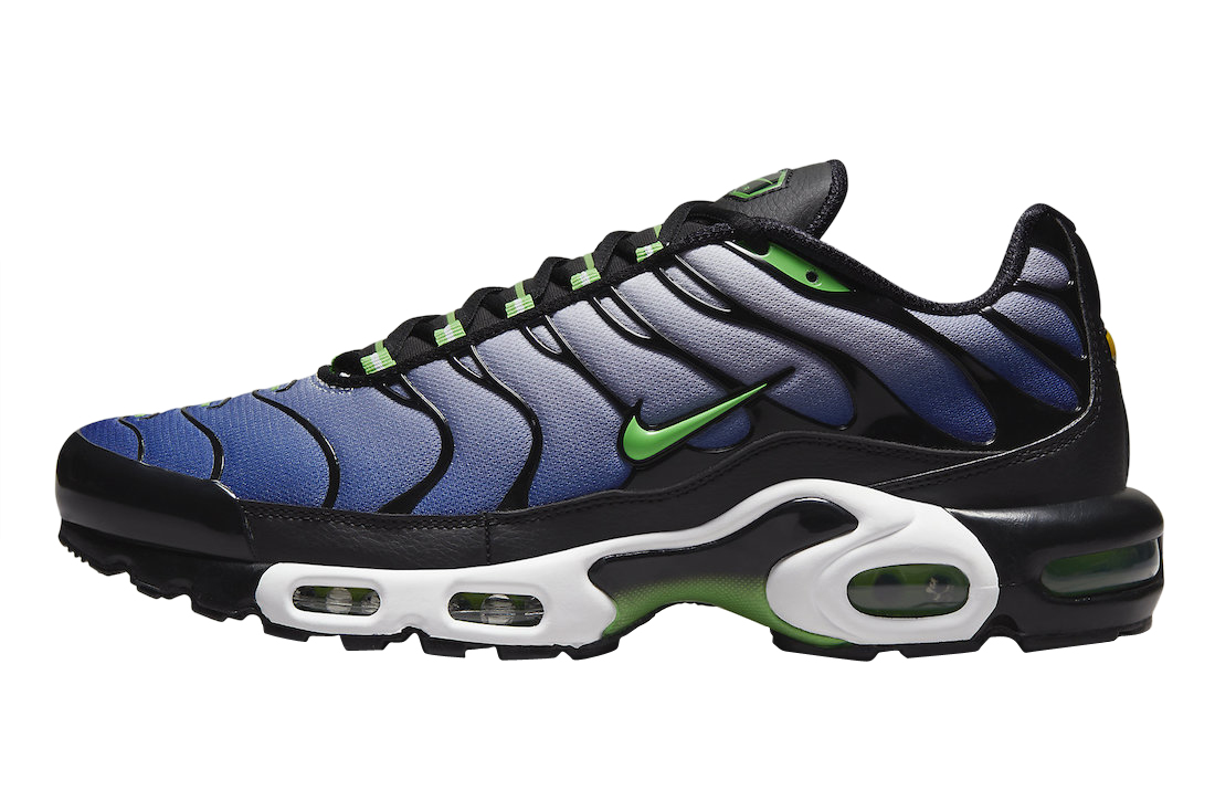 Nike Air Max Plus Icons