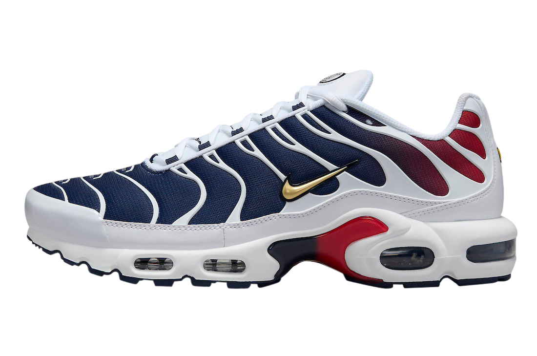 Nike Air Max Plus PSG