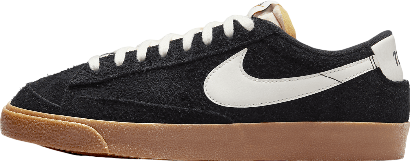 Nike Blazer Low 77 Dark Spruce - Sep 2024 - FQ8060-002