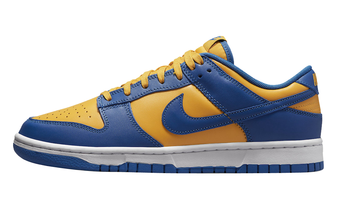 sb dunk michigan low