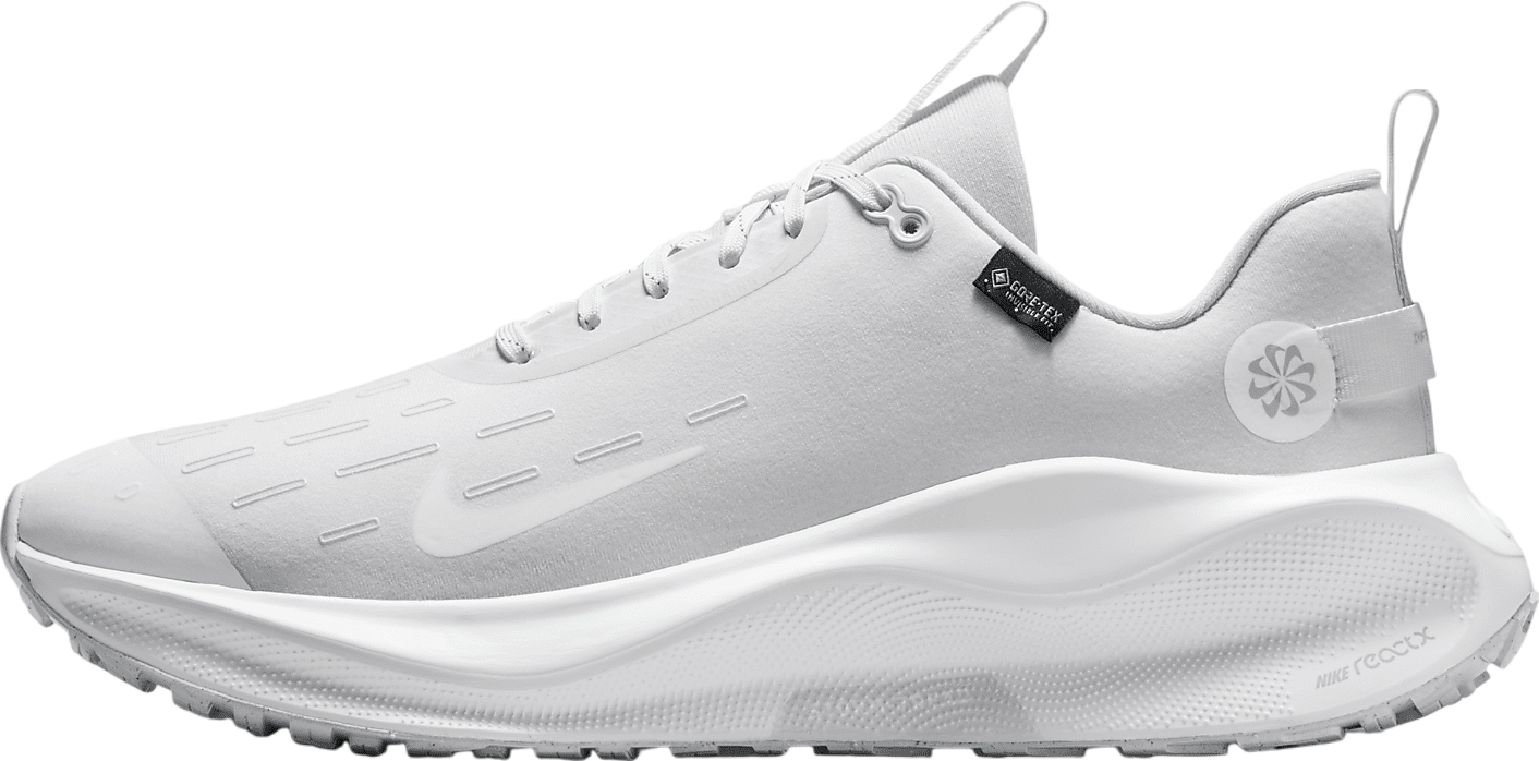 Nike Infinityrn 4 Gore-Tex Ashen Slate / Light Pumice - Oct