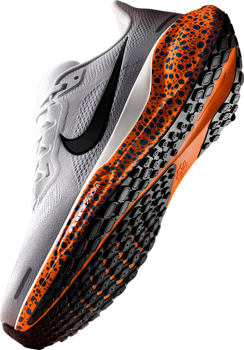 Nike Pegasus 41 Electric WMNS Multi Safari