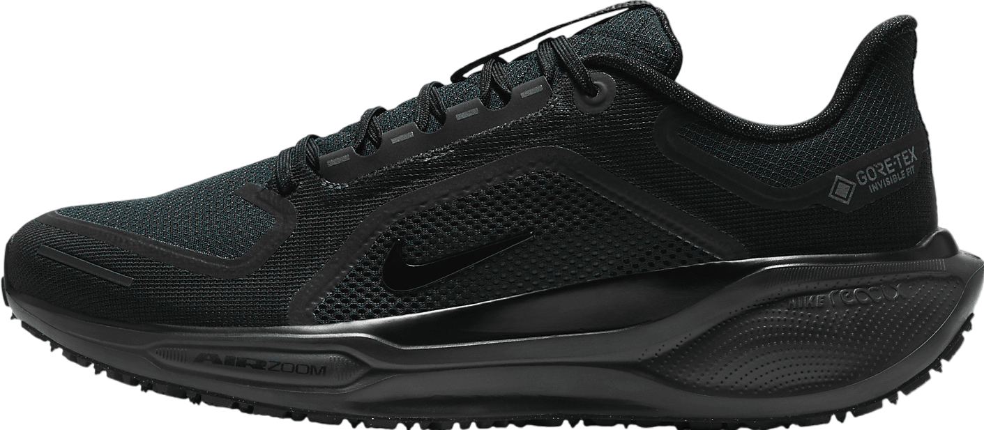 Nike Pegasus 41 Gore-Tex Black / Anthracite / Black