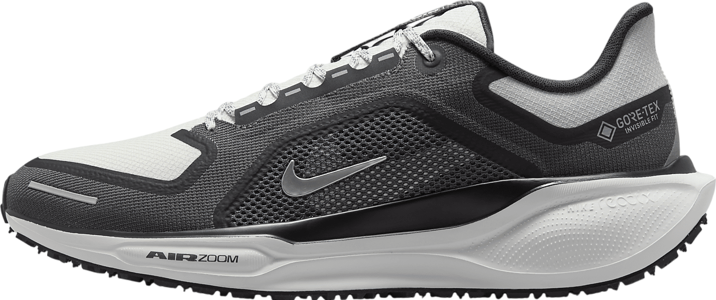 Nike Pegasus 41 Gore-Tex Black / Anthracite