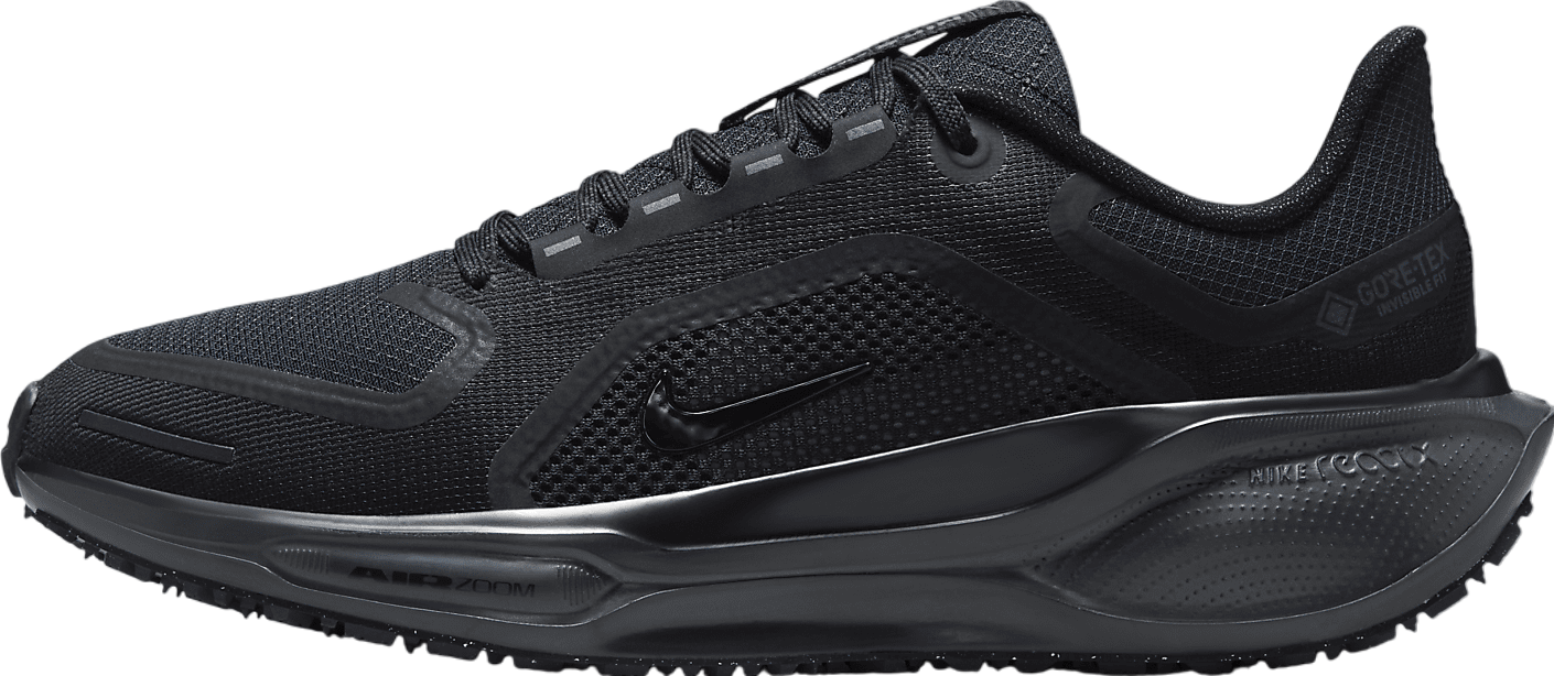 Nike Pegasus 41 Gore-Tex WMNS Black / Anthracite