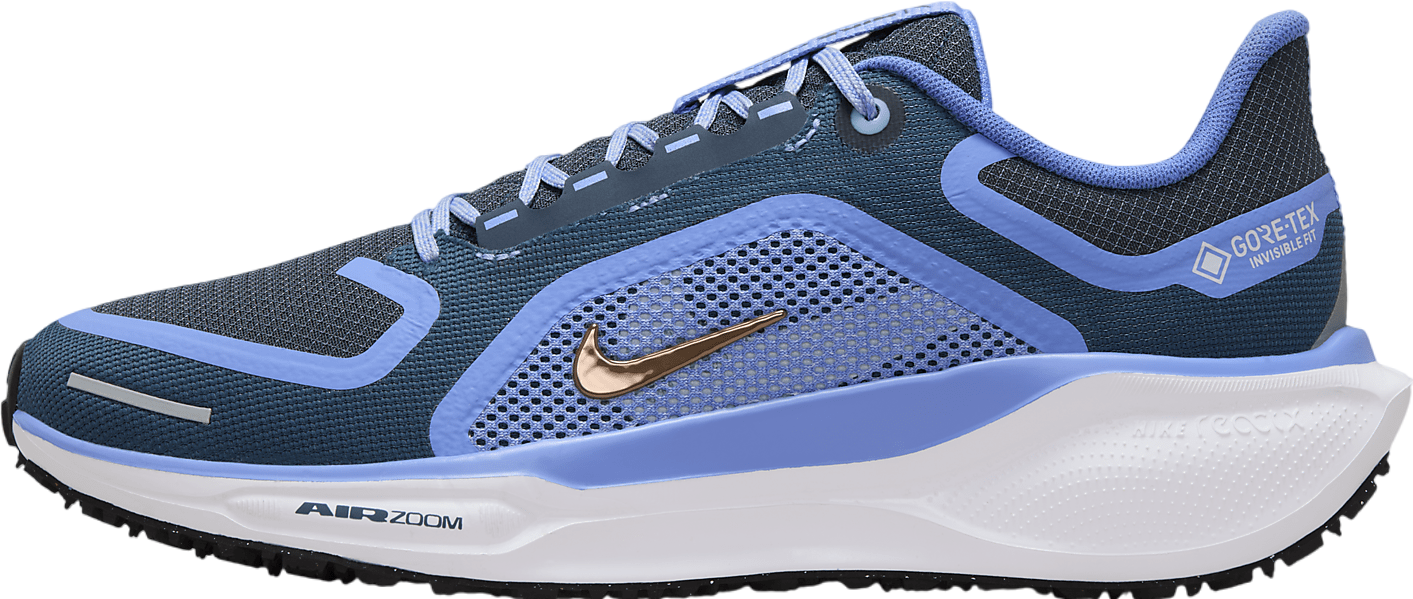 Nike Pegasus 41 Gore-Tex WMNS Cobalt Bliss / Armory Navy