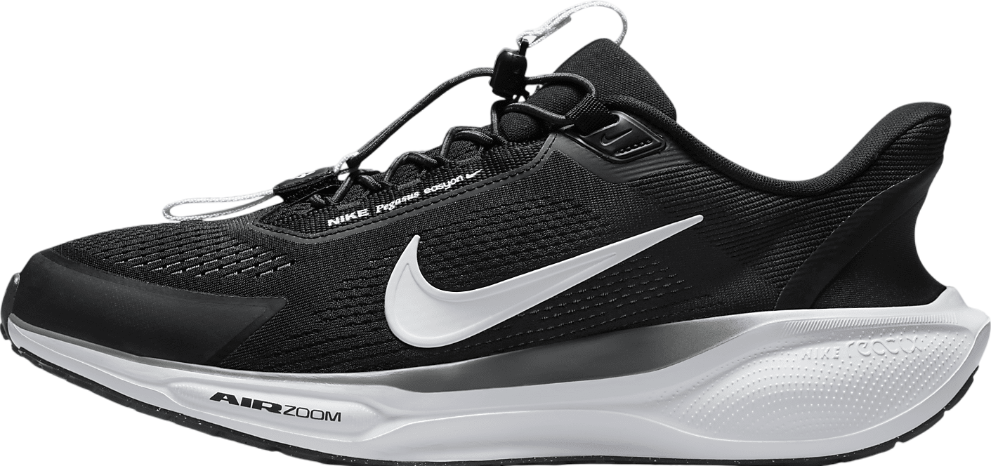 Nike Pegasus Easyon Black / Anthracite