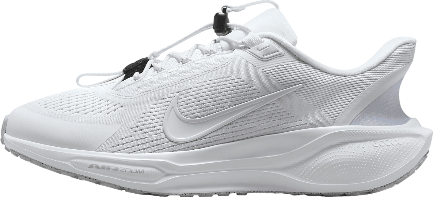 Nike Pegasus Easyon White / Pure Platinum