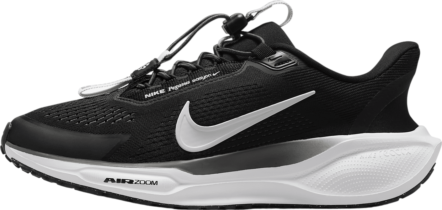 Nike Pegasus Easyon WMNS Black / Anthracite