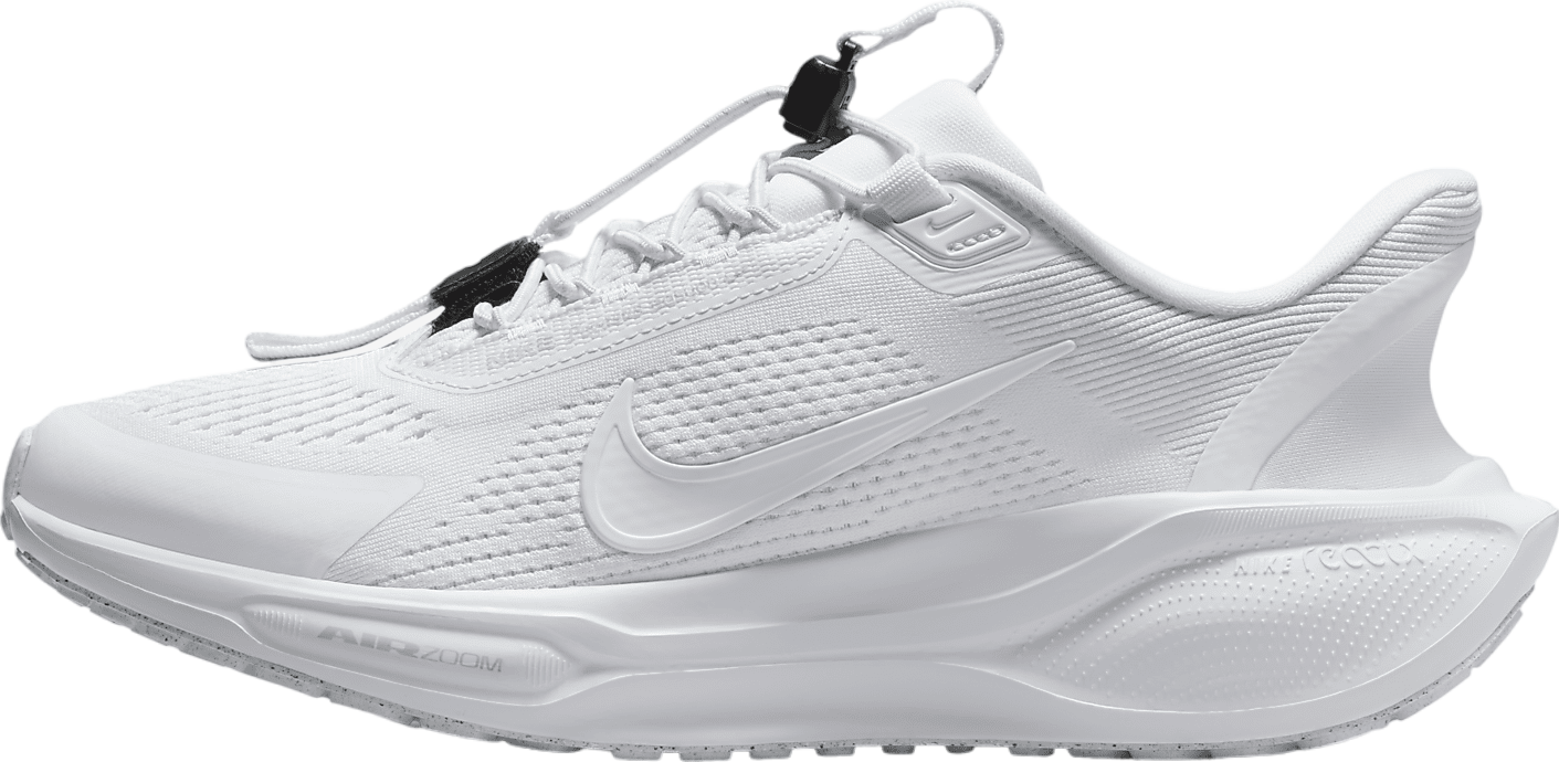 Nike Pegasus Easyon WMNS White / Pure Platinum