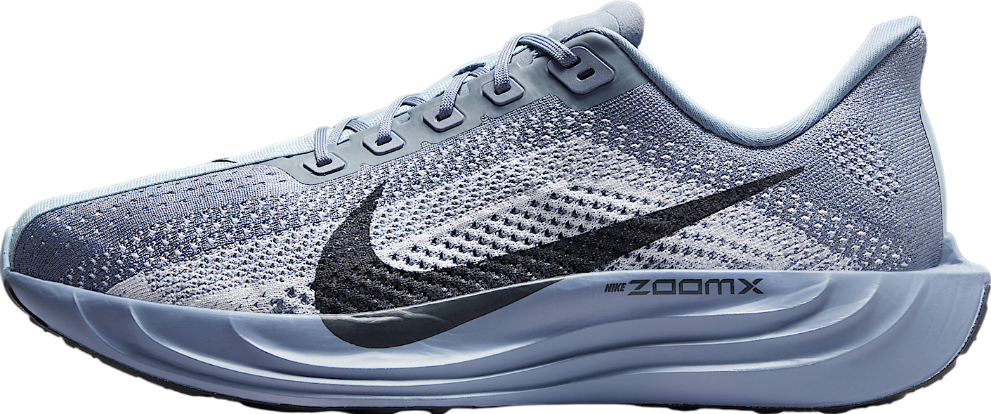 Nike Pegasus Plus Anthracite / Light Smoke Grey - Jun 2025