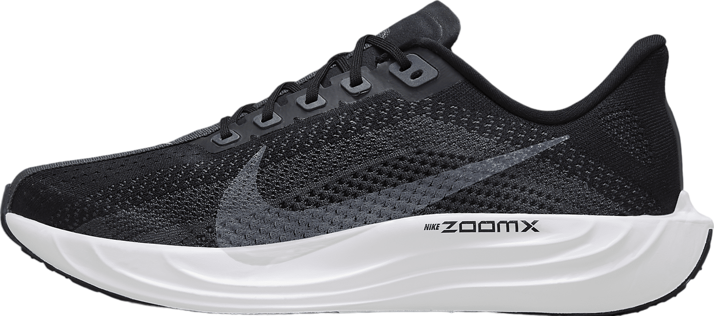 Nike Pegasus Plus Black / Anthracite