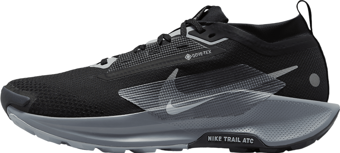 Nike Pegasus Trail 5 GORE-TEX Black / Cool Grey