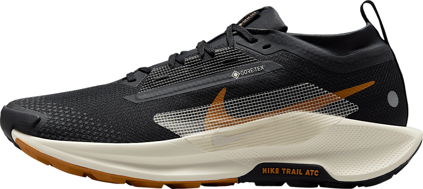 Nike Pegasus Trail 5 Gore-Tex Cement Grey / Jade Horizon