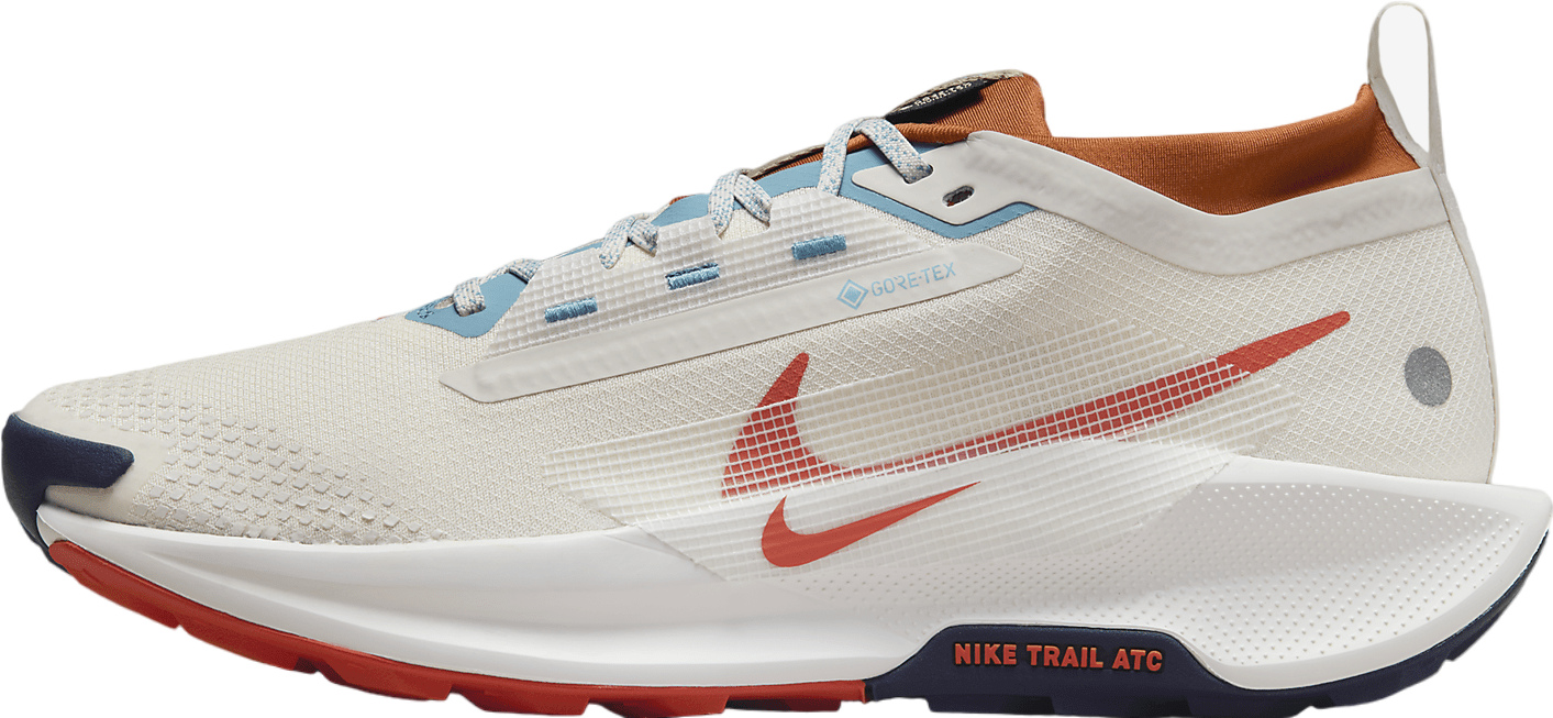 Nike Pegasus Trail 5 GORE-TEX Phantom / Dark Russet