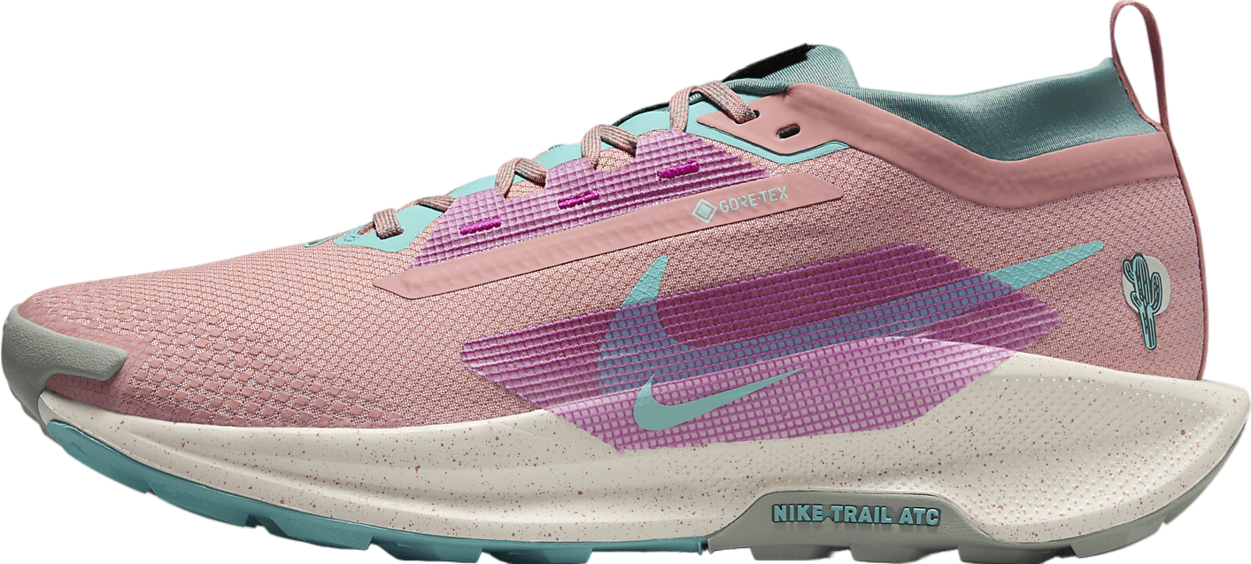 tac108　 Pegasus17 Nike Pegasus Trail 5 Gore-Tex Summit White Light Silver