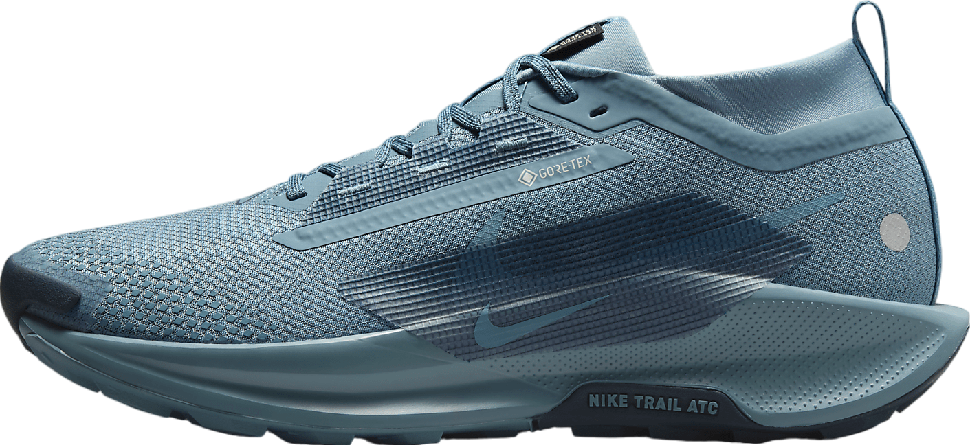 Nike Pegasus Trail 5 Gore-Tex Smokey Blue / Light Silver