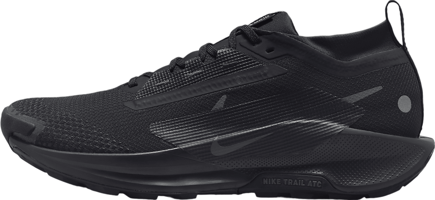 Nike Pegasus Trail 5 GORE-TEX Triple Black