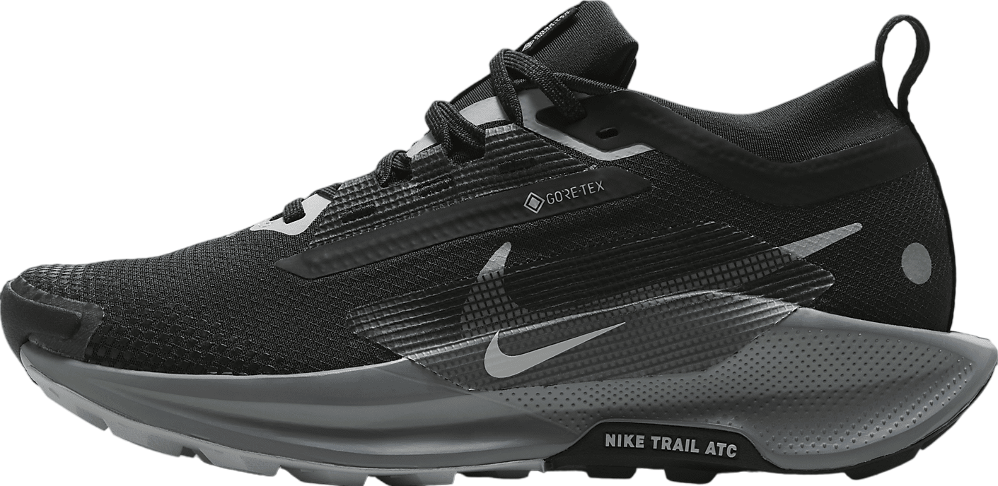 Nike Pegasus Trail 5 GORE-TEX WMNS Black / Cool Grey