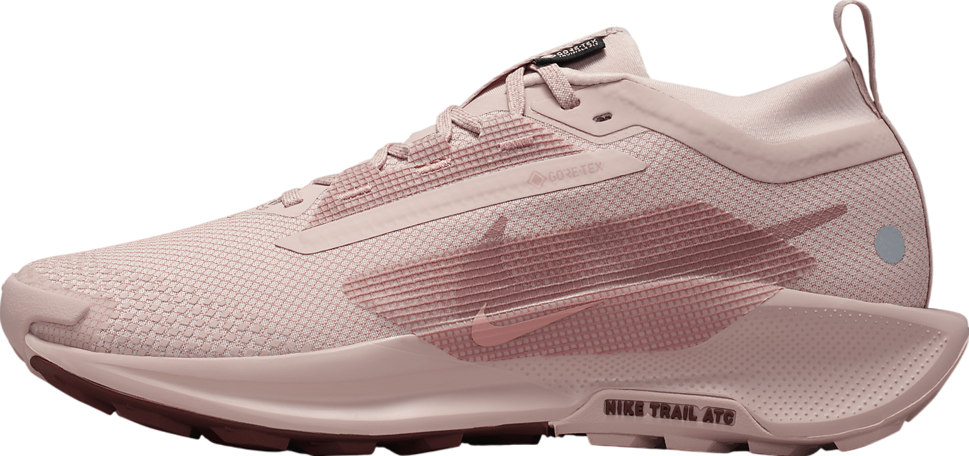 Nike Pegasus Trail 5 Gore-Tex WMNS Pink Oxford / Red Sepia