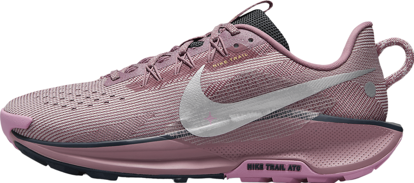 Nike Pegasus Trail 5 WMNS Plum Dust / Platinum Violet