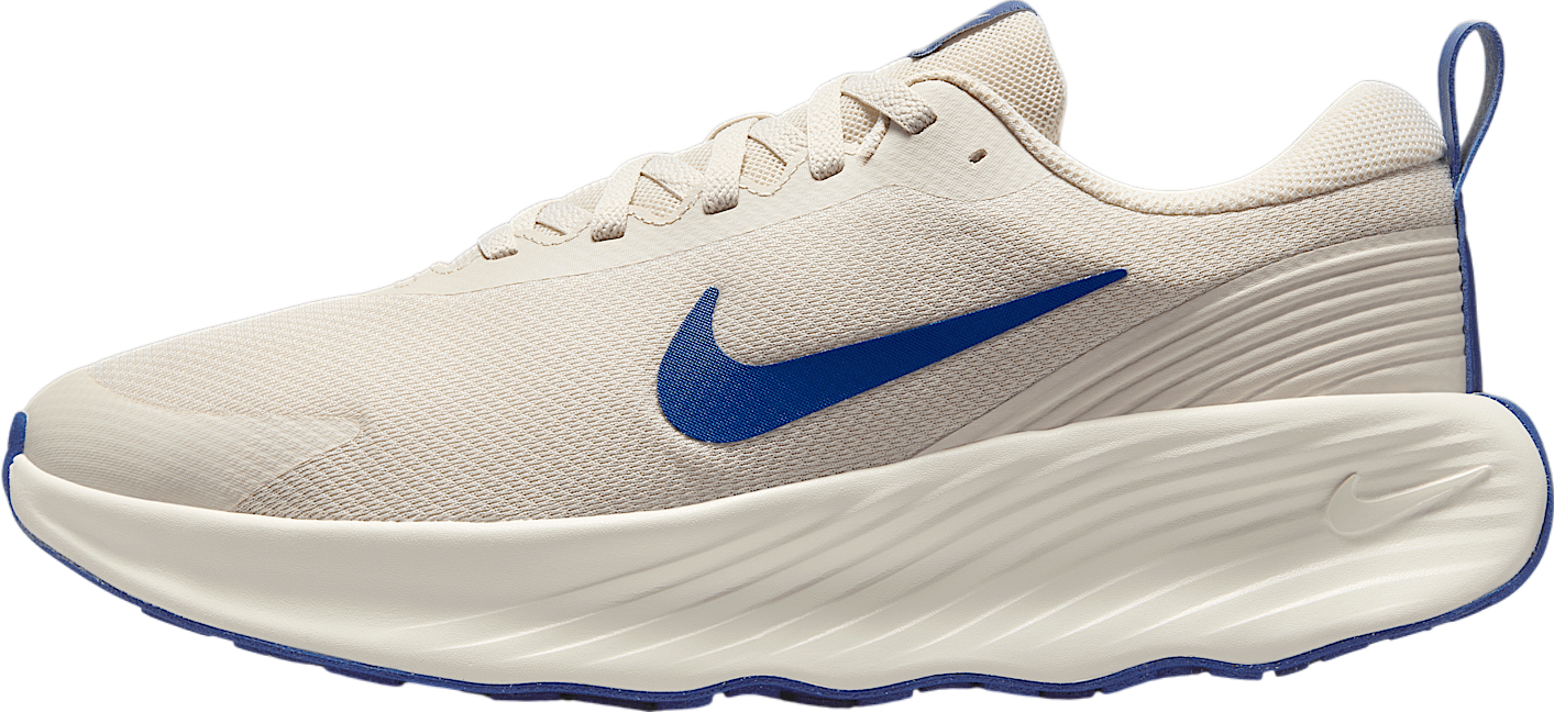 Nike Promina Smokey Blue / Summit White - Mar 2025 - FV5285