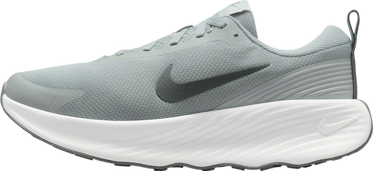 Nike Promina Light Pumice / Dark Stucco - Oct 2024 - FV5285  display picture 1