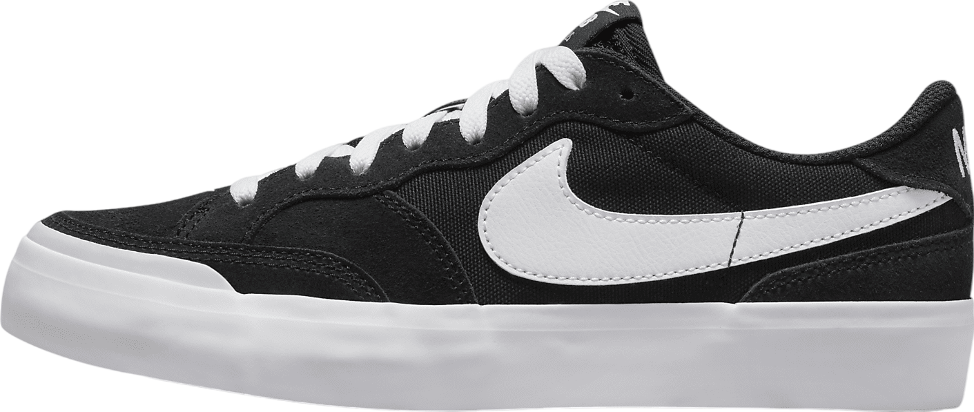 Nike SB Zoom Pogo Plus Black / White