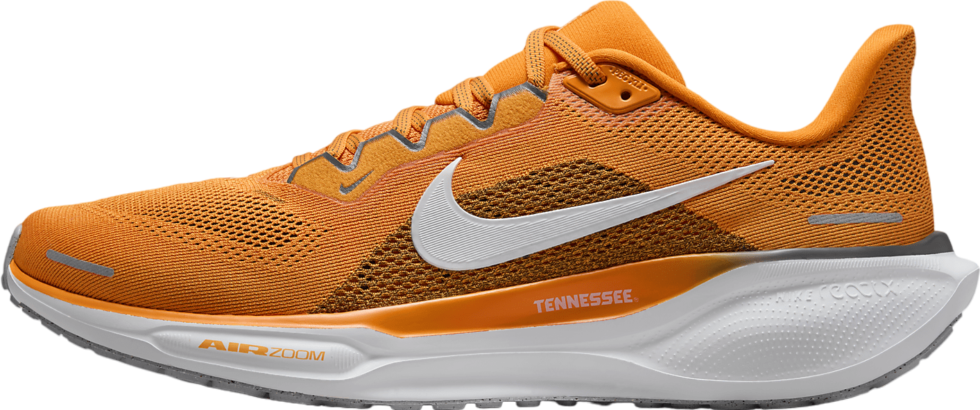 Nike Tennessee Pegasus 41 Bright Ceramic / White