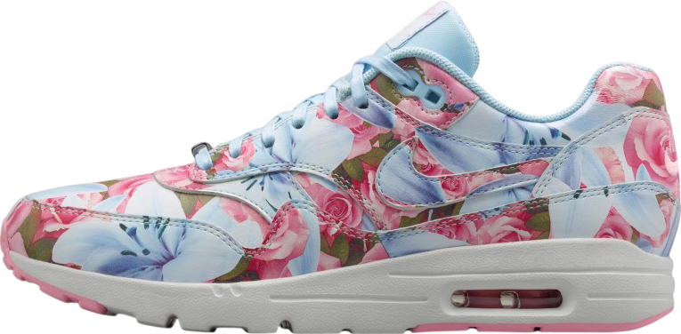 Nike WMNS Air Max 1 Ultra - Paris - Apr 2015 - 747105400