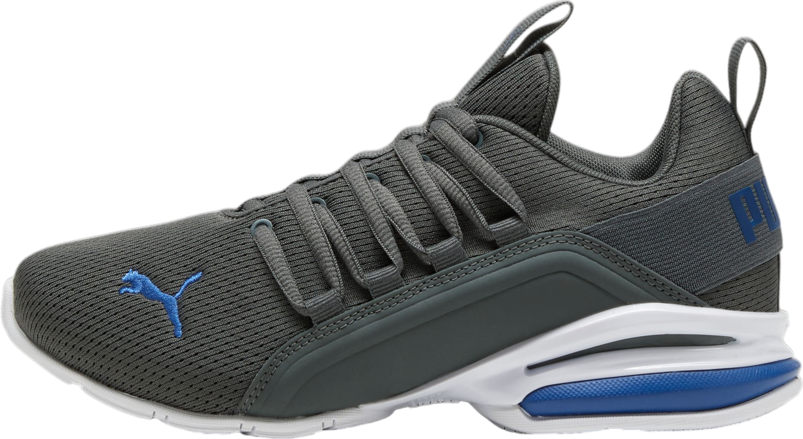 Puma Axelion Mesh GS Mineral Gray / Cobalt Glaze