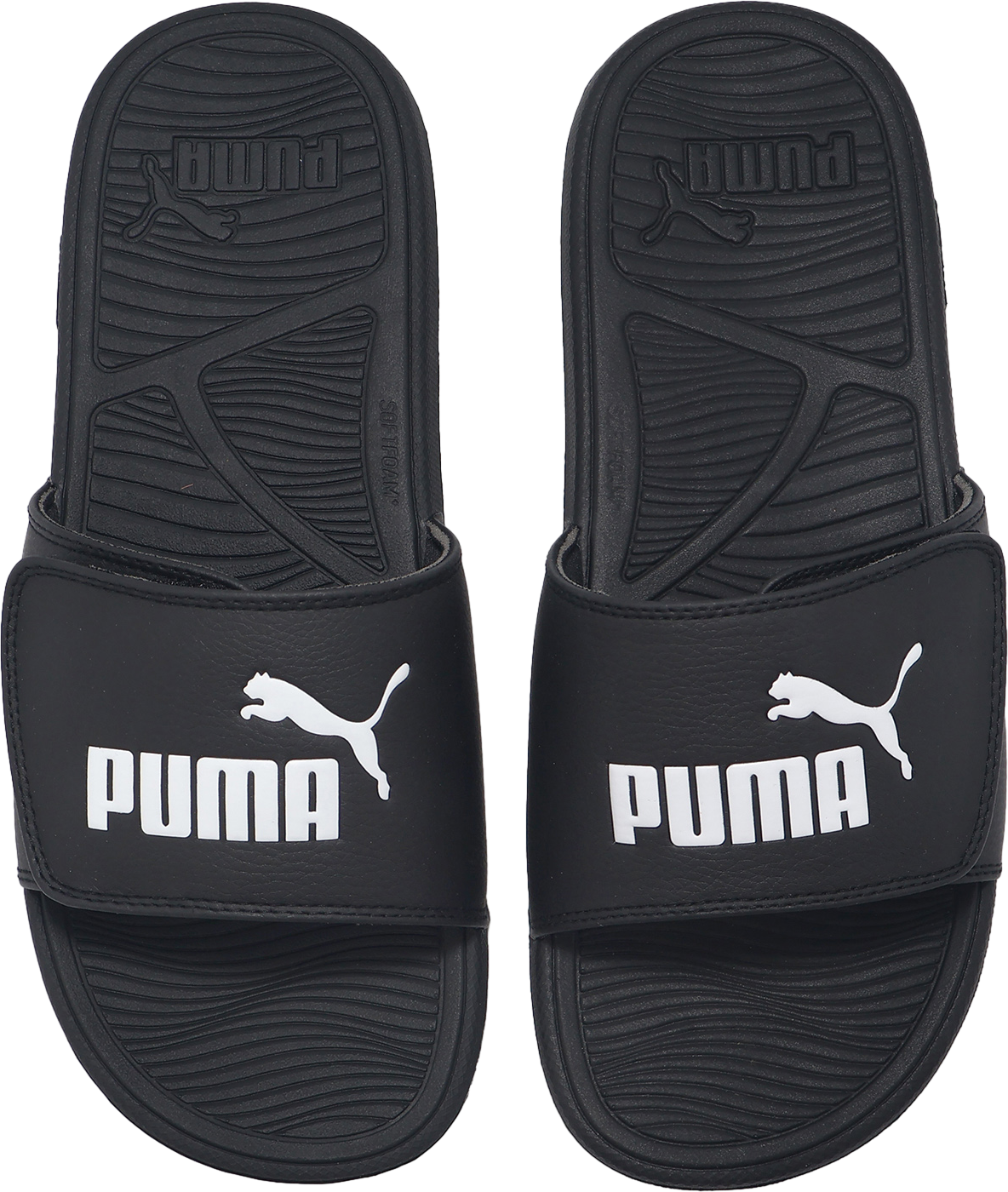 pandaページ Puma Cool Cat 2.0 V BX Black / White - Jun 2024 - 38911201